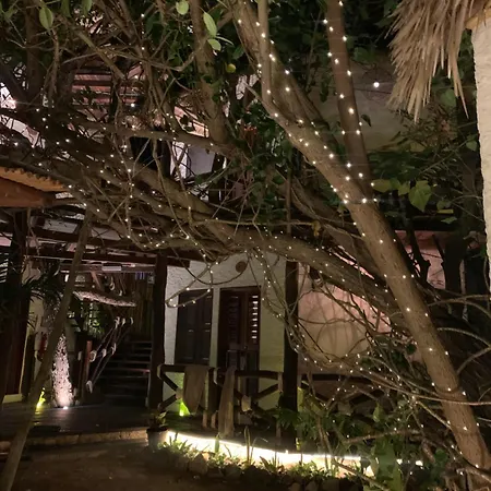 Casa Mech-3