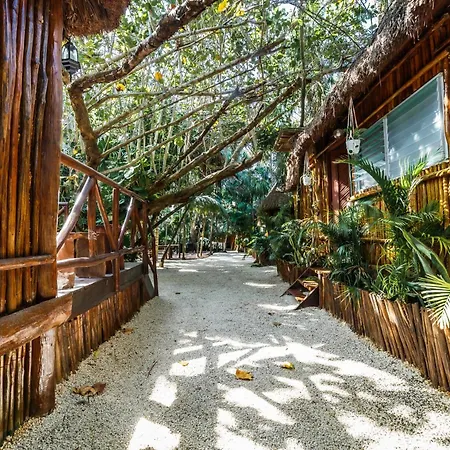 Eco Banitas Tulum-2