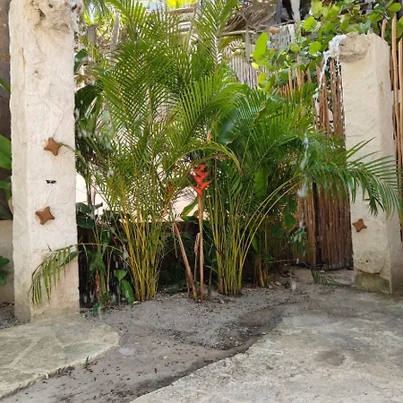 Azucar Hotel Tulum-2