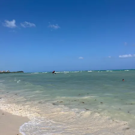 Ipana Dream Downtown Playa Del Carmen-3