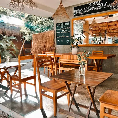 Mimosa Tulum-2