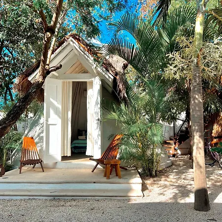 Mimosa Tulum-3