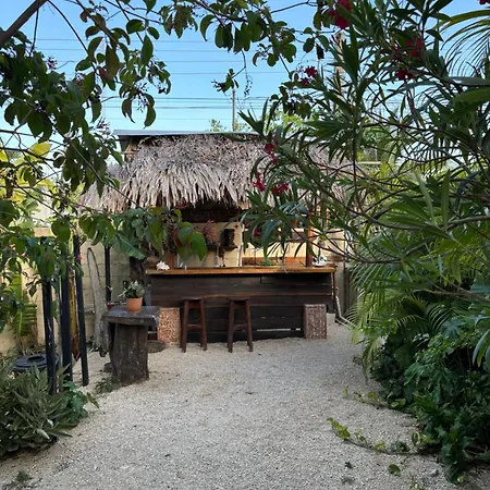 Jungla Bacalar-3