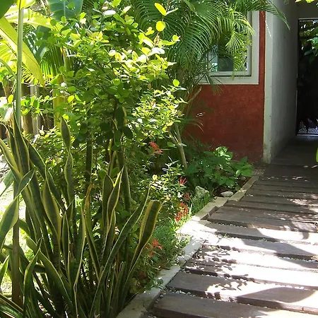 Elements Of The Island-3