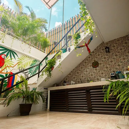 Puerto Morelos Hotel Las Palmas - Near The Beach-2