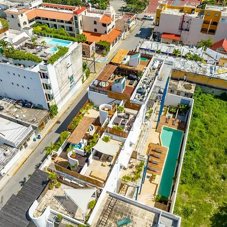 Duplex W Rooftop Plunge Pool - Walk To Beach-3
