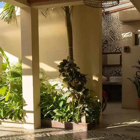 Hotel Siesta Holbox-2