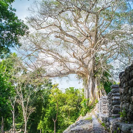 The Explorean Selva Maya Kohunlich-2