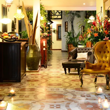 Posada Mariposa Boutique Hotel - 5Th Avenue-3