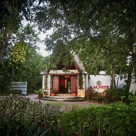 Amarte Maroma Hotel Eco Boutique Spa-3