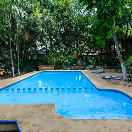 Koox City Garden Hotel-2