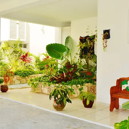 Corales Suites-3