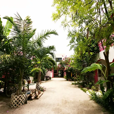 Hotel Los Arcos Holbox-3