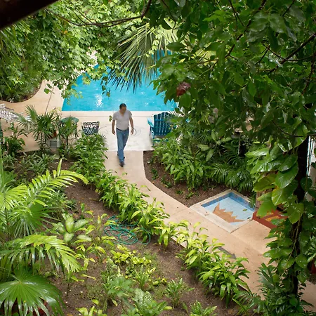 Eco-Hotel El Rey Del Caribe-2