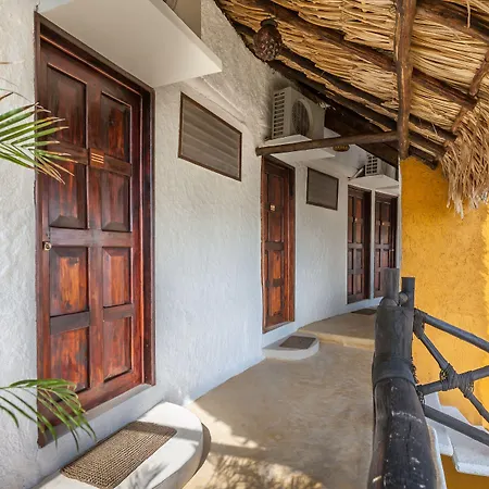 Beachfront Hotel La Palapa - Adults Only-2