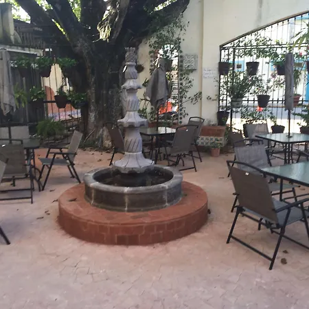 Casa Palmare-2