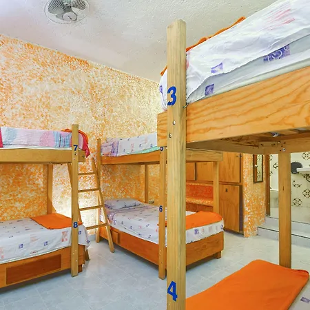 Amigos Hostel Cozumel-3