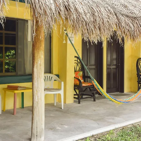 Amigos Hostel Cozumel-2