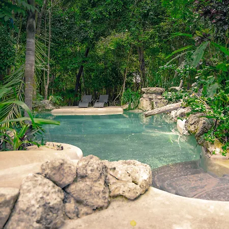 Reserva Ecologica Hacienda Cancun-2