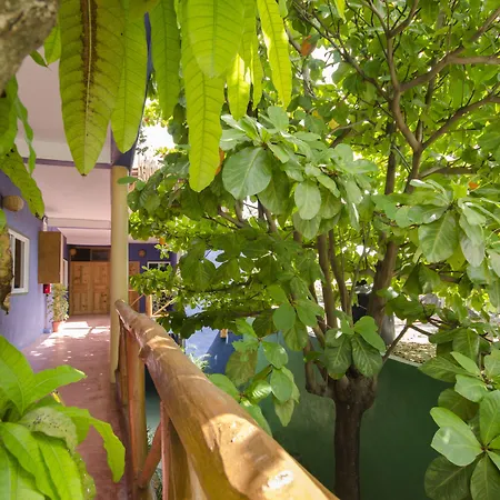 Casa Almendro-3