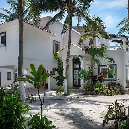 Alea Tulum-3