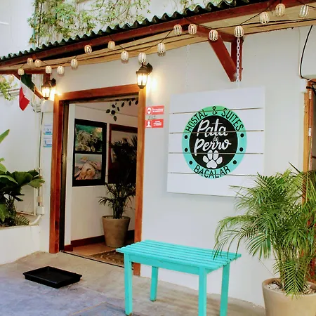 Pata De Perro Bacalar-2