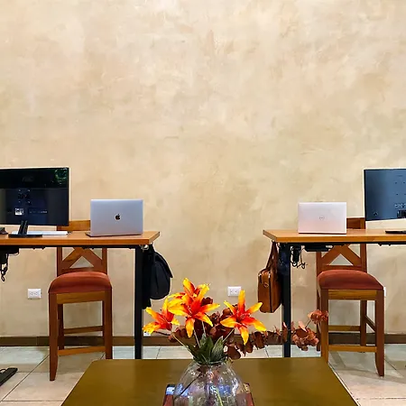 Humant Coliving - Cancun-2
