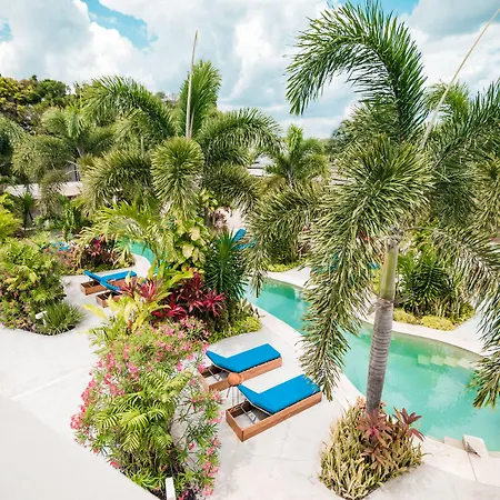 Blue Palm Bacalar - Adults Only-3