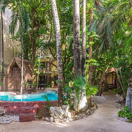 Hotel B&B - Playa Del Carmen-2
