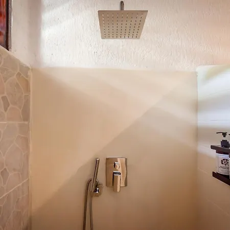 Beachfront Hotel La Palapa - Adults Only-3