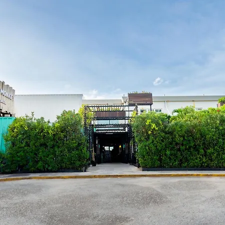 Mayan Monkey Cancun - Social Hostel (Adults Only)-2
