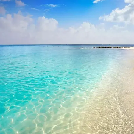 Espectacular Estudio Frente Al Mar De Cozumel A3-2