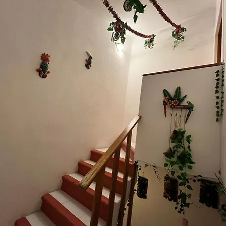Mexico Arte-2