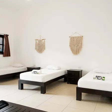 We Playa Hotel - Adults Only-2