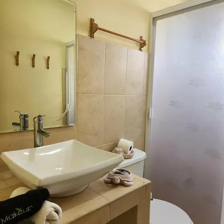 Coral Island Suites Cozumel-3