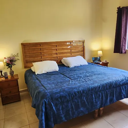 Coral Island Suites Cozumel-2