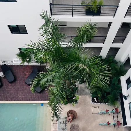 Live Coco Suites - Hotel Boutique & Rooftop-3