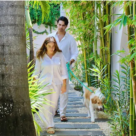 Pachamaya Holistic Wellness Boutique Hotel & Spa - Adults Only-2