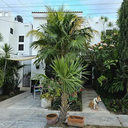 Tu Casa En El Caribe-3