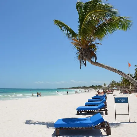 Stay In Tulum!-3
