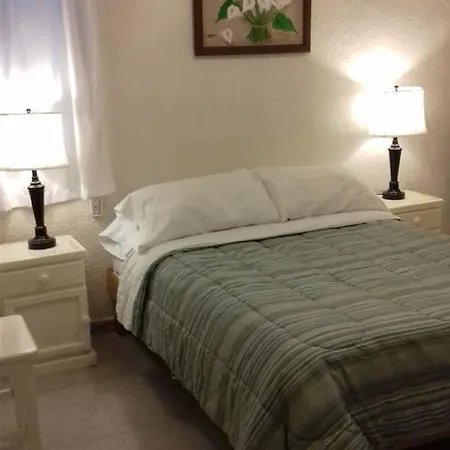 Casa Palmera-3