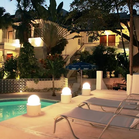 Tropical Casablanca Party Zone-2