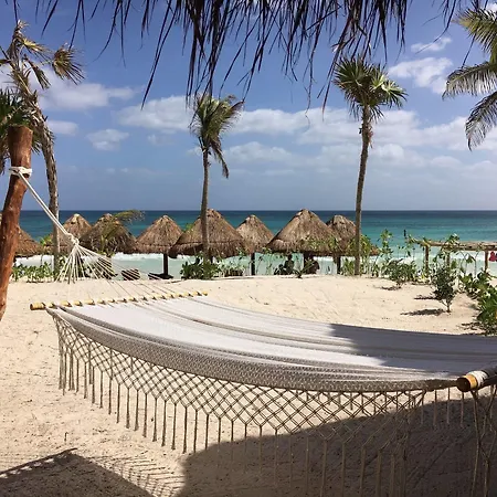 Alma Tulum-3