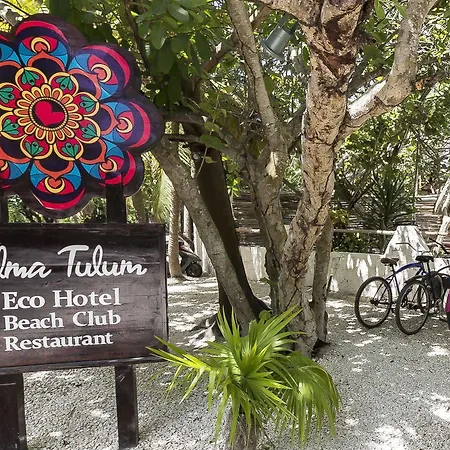Alma Tulum-2