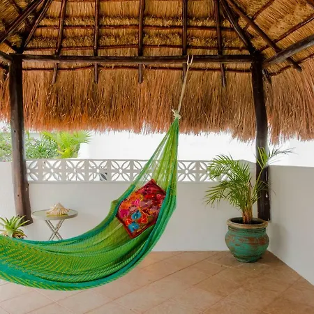 Hacienda San Jose By Playa District-3