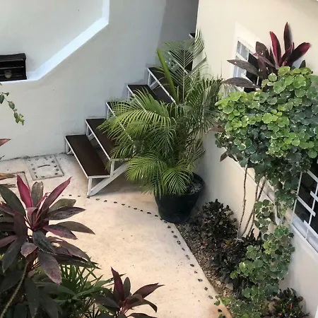 Kika Studios-2
