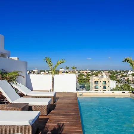 Areca By Playa Moments-3