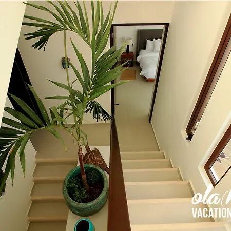 Vacation Home Near Ocean By Olahola-2