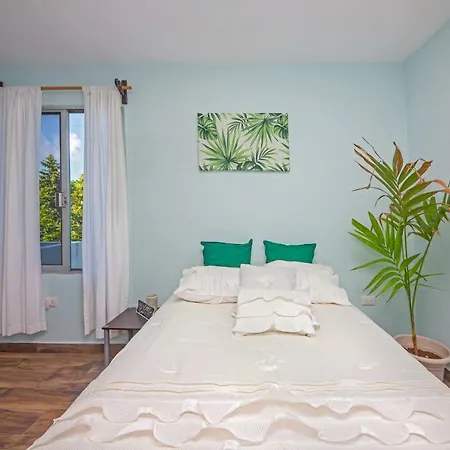 Condo La Palmera-2