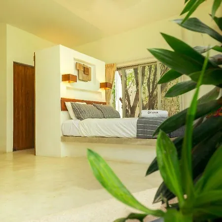 Designer Loft 1-2